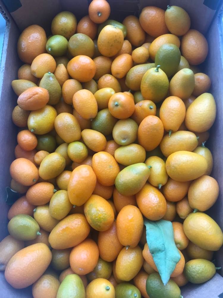 en kasse øko Kumquats