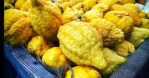 cedro citroner