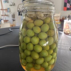 grønne mirabeller