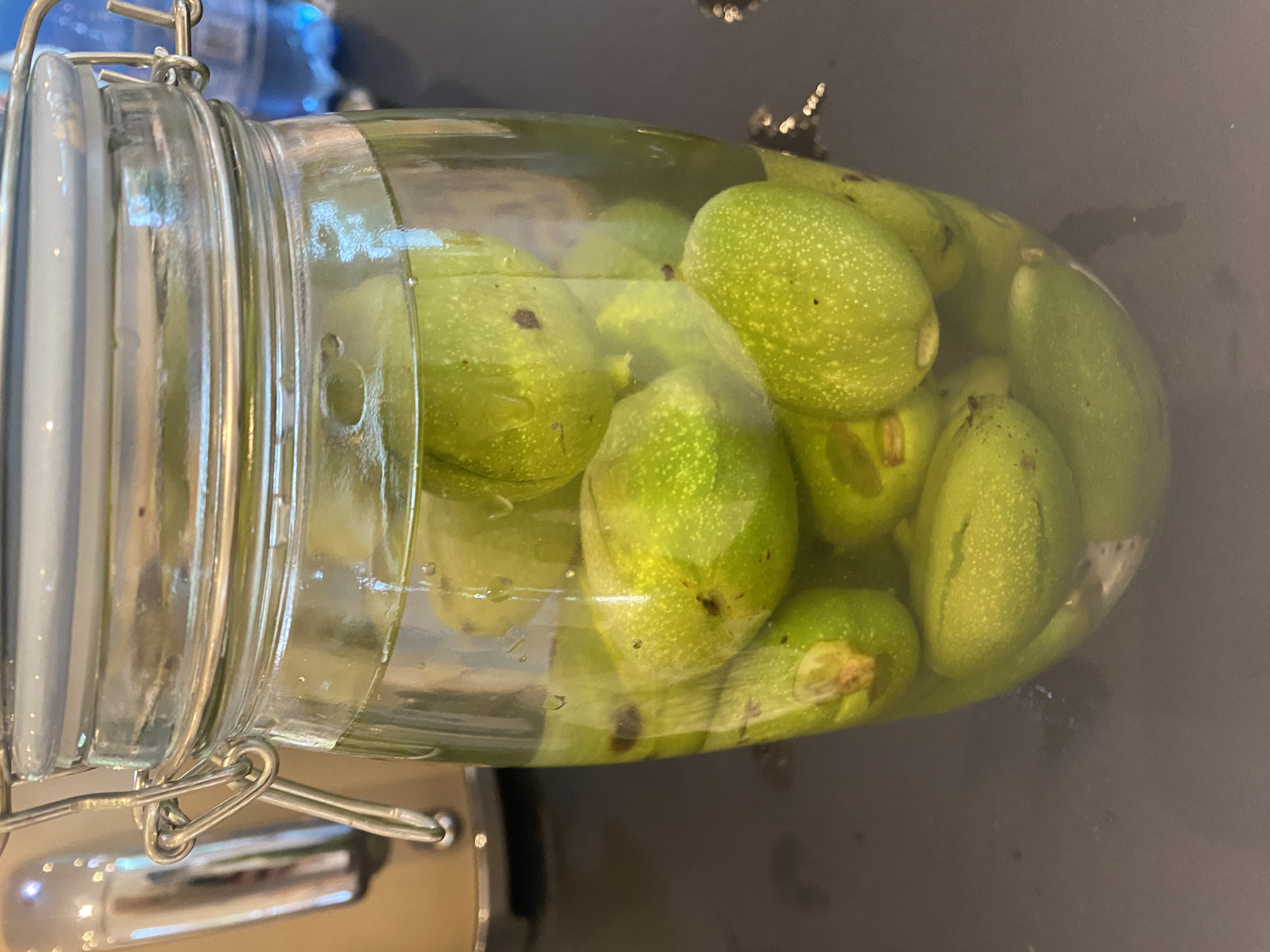 fermentering af grønne valnødder